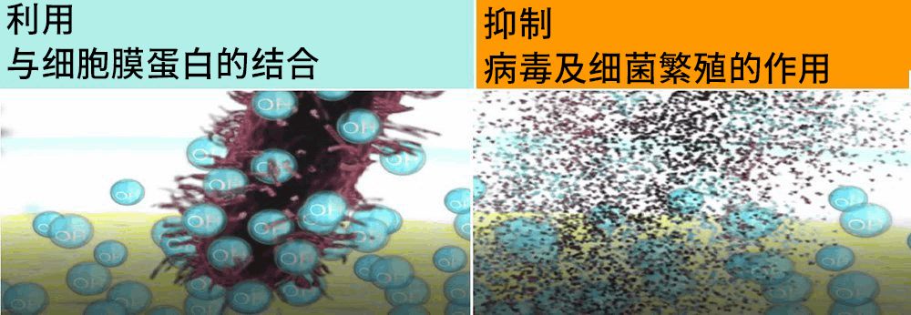 抗菌涂层作用原理示意